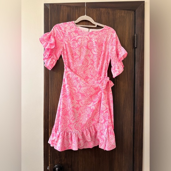 Lilly Pulitzer Pink Darla Stretch Dress (D9) - Picture 6 of 11